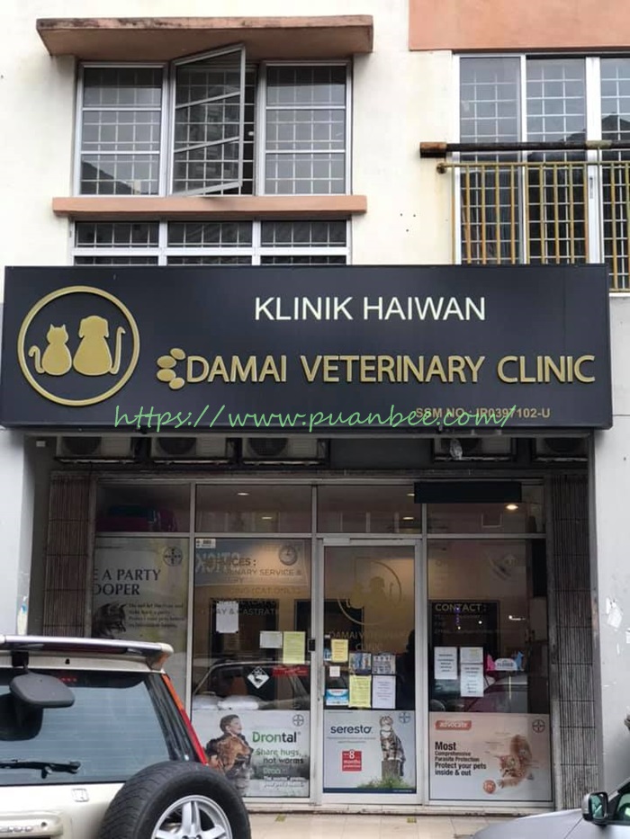 klinik haiwan murah di damansara damai